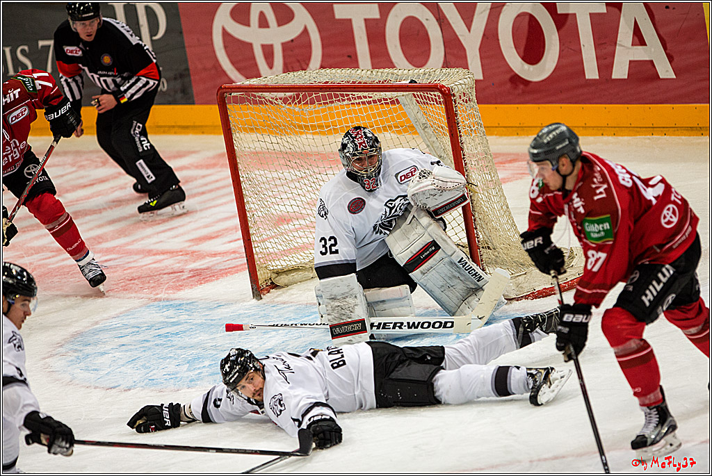 Koelner Haie - Nuernberger Ice Tiger, 04.12.2016